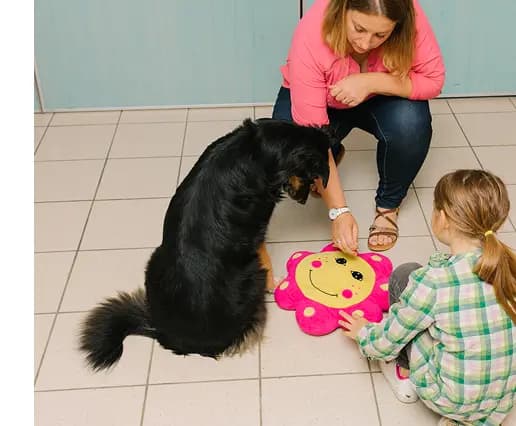 Image de l'association Action Enfance