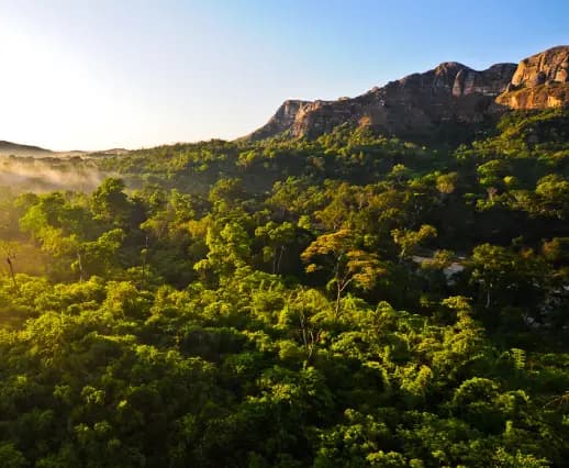 Image de l'association Naturevolution