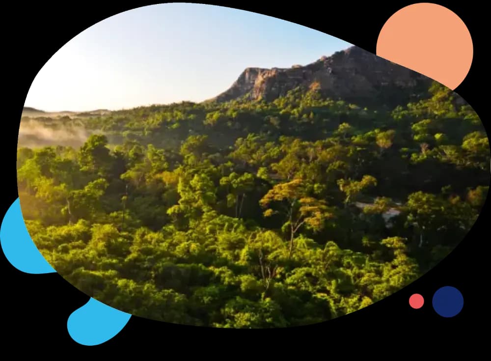 Naturevolution