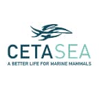 Cetasea